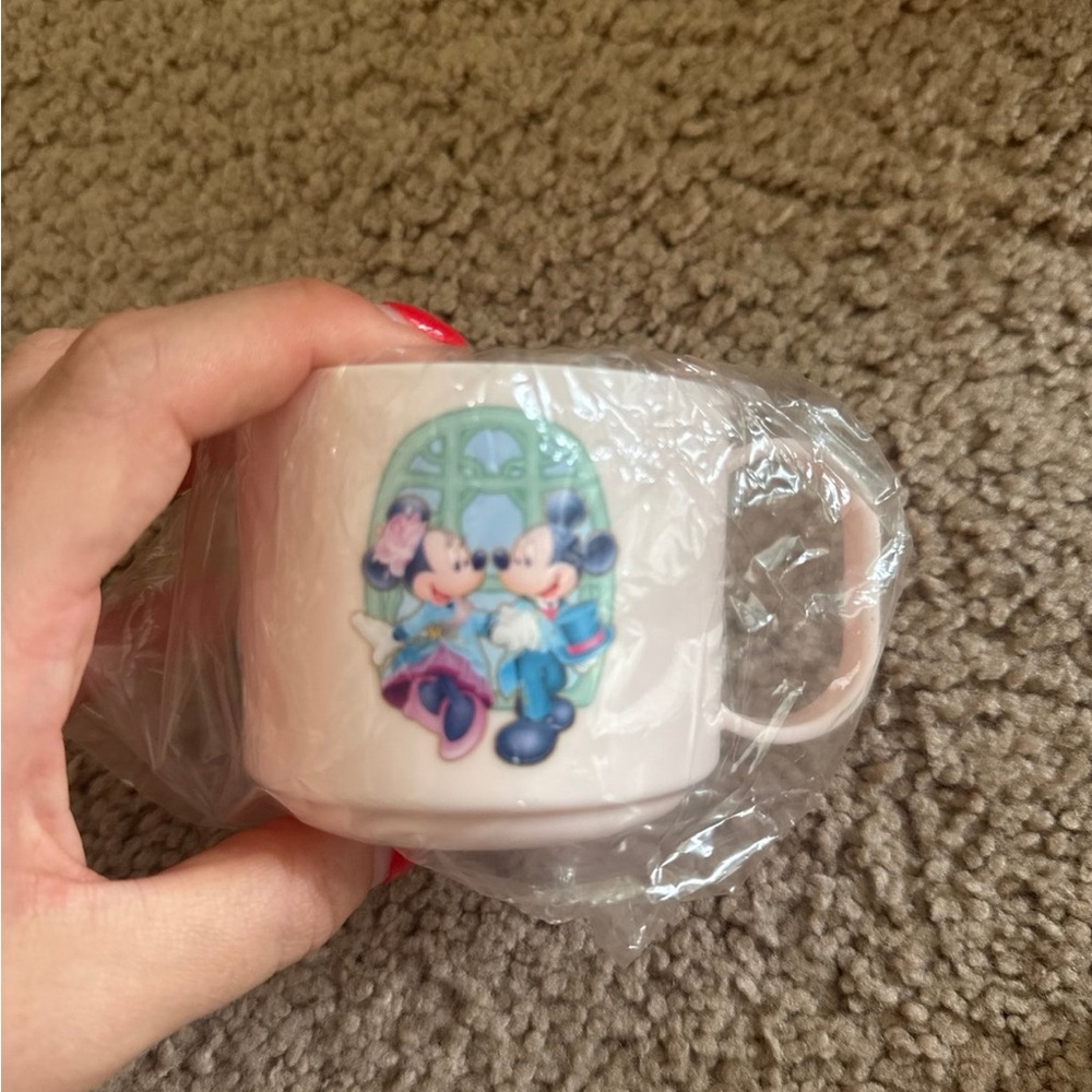 Tokyo Disney Fantasy Springs Mug